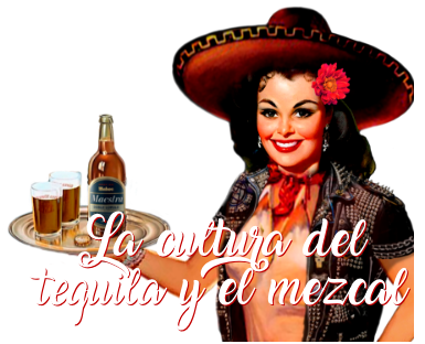 cultura tequila movil