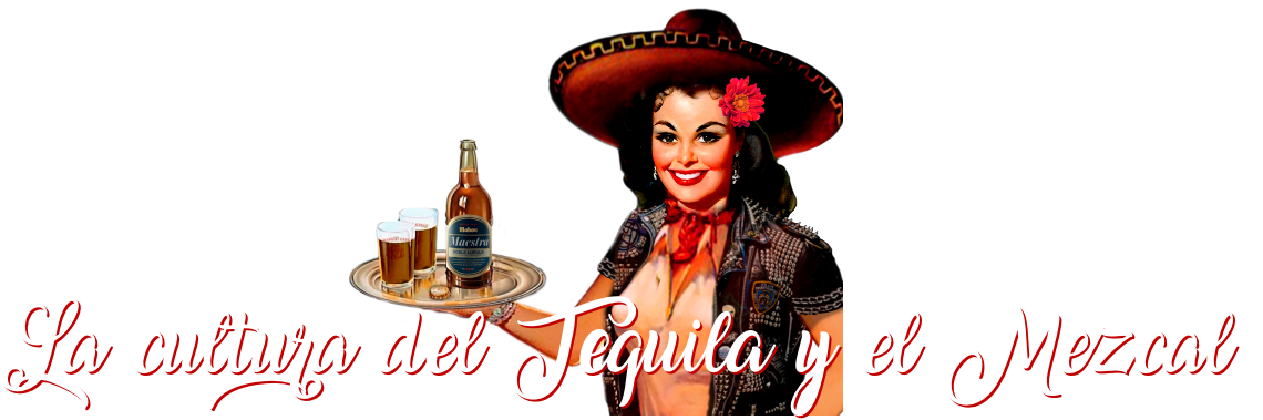 la cultura del tequila y el mezcal